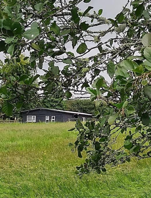 Drummacahan Lodge Ederny Екстериор снимка
