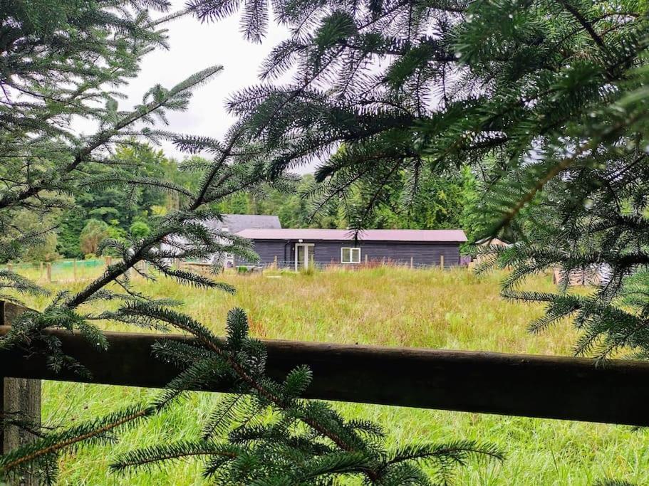 Drummacahan Lodge Ederny Екстериор снимка